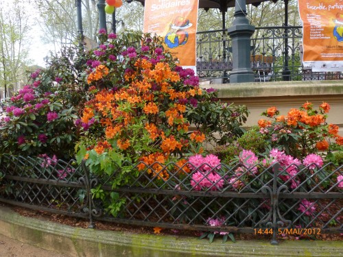 STE 5 MAI 2012 ET BOUQUET 003.jpg