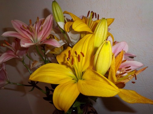 100_0716.JPG