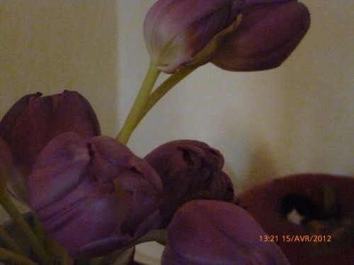 bouquet 15 avril 2012 013.jpg