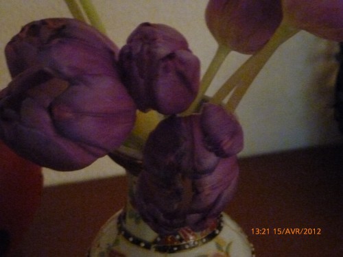 bouquet 15 avril 2012 012.jpg