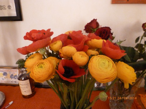 bouquets et train fin février 2014 009.JPG