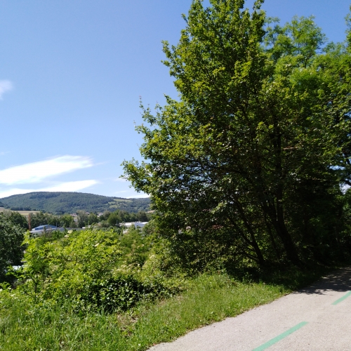 IMG_20190618_122953.jpg
