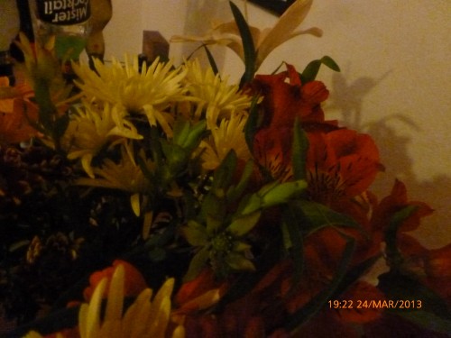 bouquets des 2 dimanche 17 et 24 mars 2013 003.jpg