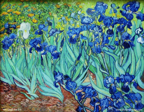 van_gogh_les_iris_l.jpg