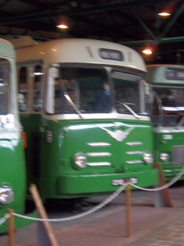 100_1755.JPG