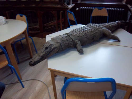 100_0309.JPG