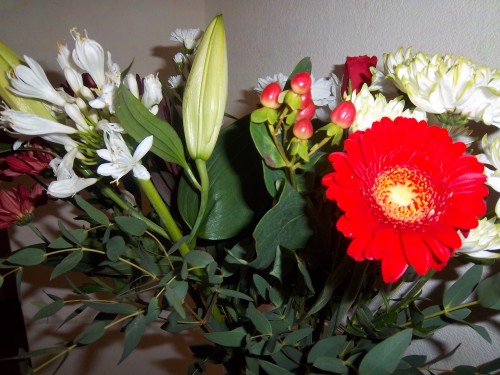 100_0788.JPG