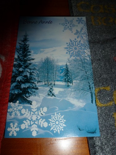 25 décembre 2011 025.jpg