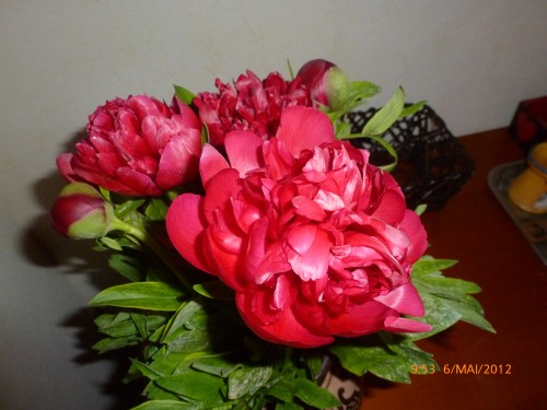 STE 5 MAI 2012 ET BOUQUET 007.jpg