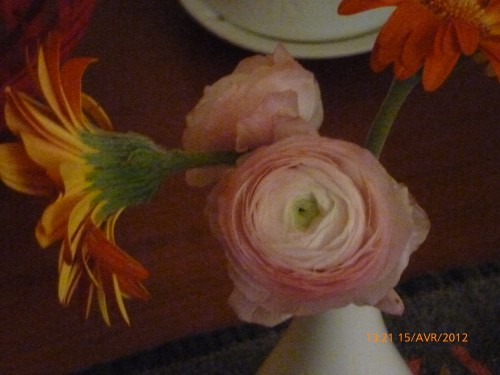 bouquet 15 avril 2012 014.jpg