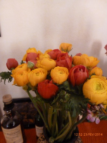 bouquets et train fin février 2014 006.JPG