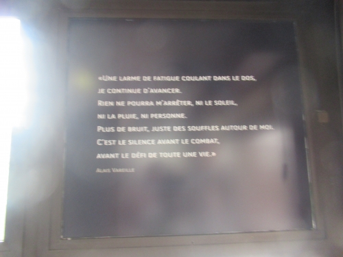 IMG_7264.JPG