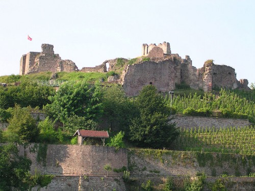 Epinal_chateau1.jpg