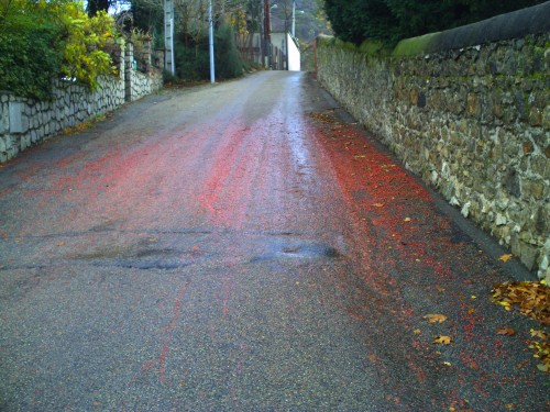 tra^née rouge st vallier 1 er décembre 2009 001.jpg