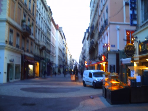 lyon 4 février 2010 007.jpg