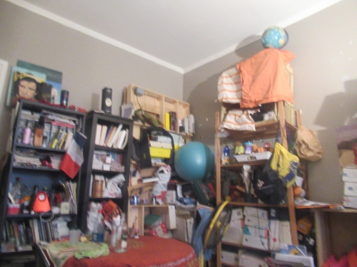 mon salon.JPG