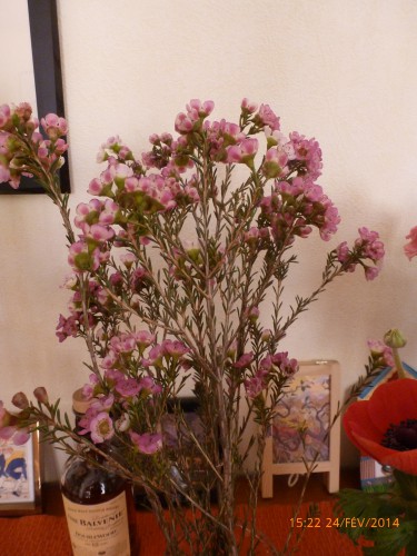 bouquets et train fin février 2014 010.JPG