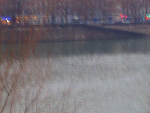 lyon 20 janvier 2009 005.jpg