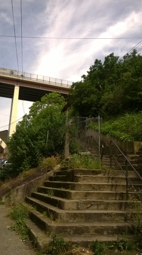 WP_20160610_002.jpg