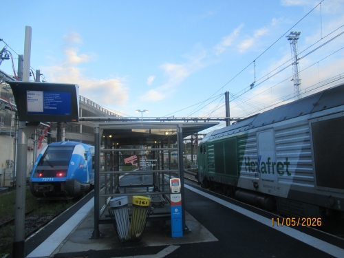 IMG_2177.JPG