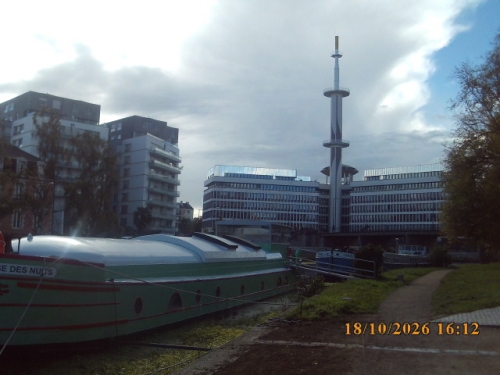 SUNP0217.JPG