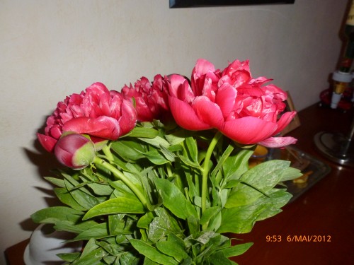 STE 5 MAI 2012 ET BOUQUET 006.jpg