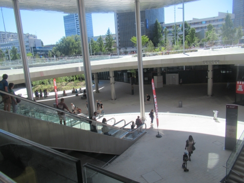 IMG_1135.JPG