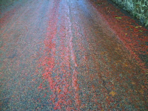 tra^née rouge st vallier 1 er décembre 2009 003.jpg