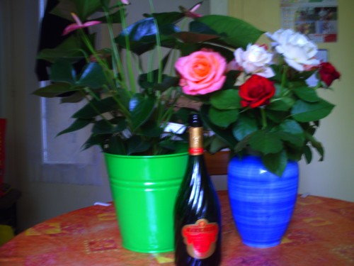 1 er juillet 2010 007.jpg